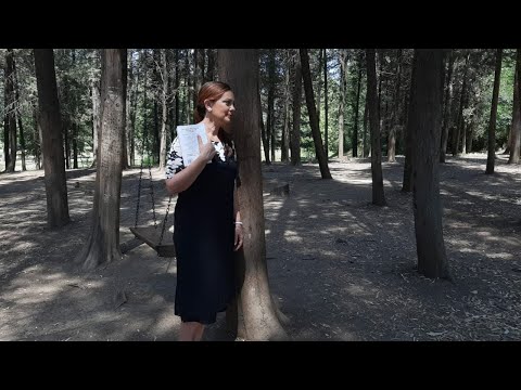 Vitrina e librit/ Shtegu i kripës- Raynor Winn - Vetëm pak ditë pasi Rejnor Win mësoi se Mothi