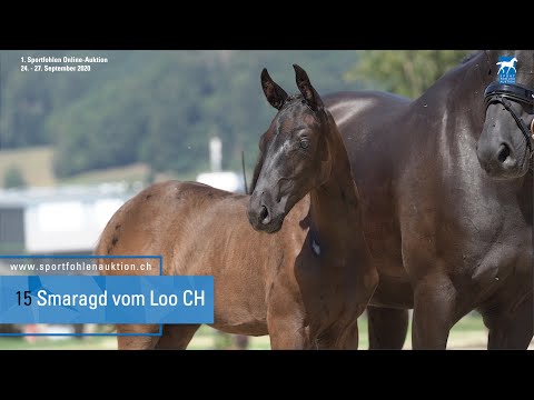 15 Swarovski x Destano