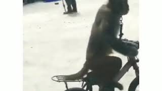 Download lagu Video lucu medan dubbing#5 mp3