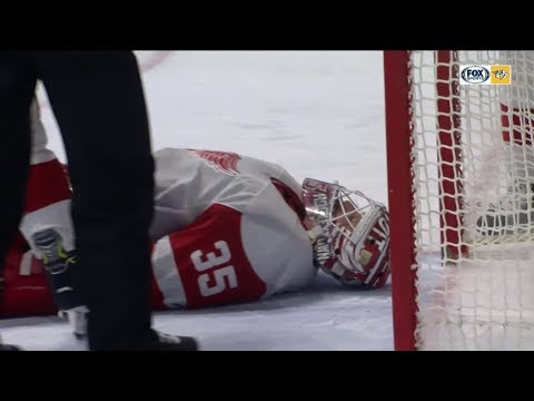 18/19 RS: Det @ Nsh Highlights - 2/12/19