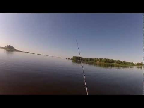 Что такое съедобный силикон...