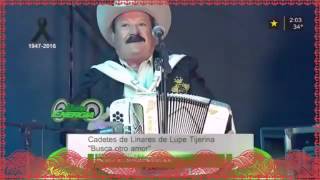 LOS CADETES DE LINARES DE LUPE TIJERINA. &quot;BUSCA OTRO AMOR &quot;EN VIVO!!