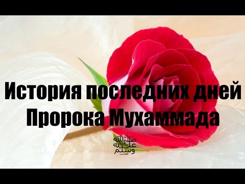 История последних дней Пророка Мухаммада ﷺ