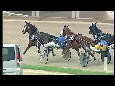 Napoli Trotto 12/02/2021 - 6ª corsa