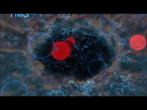 Priest Of Secret Garden - Molecular Vision [Visualization]