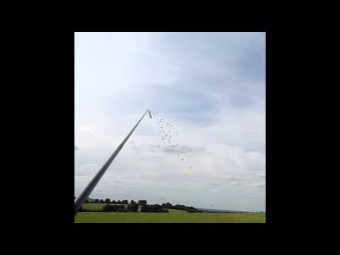 Life in a Drone Congregation Area