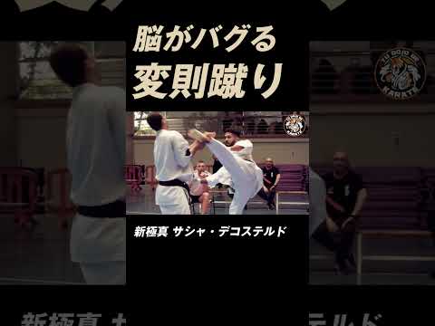 変則後ろ廻し 新極真 サシャ・デコステルド  #K-1 #RISE #GLORY #ONE