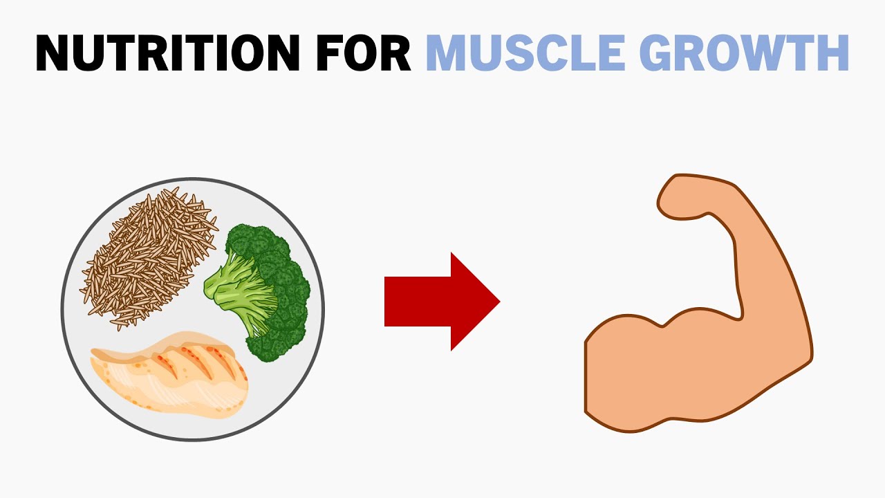 Complete Nutrition for Muscle Growth