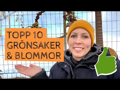 Topp 10 - Bästa grönsakerna och blommorna. Vilka är mina 10 favoritgrönsaker och favoritblommor?
