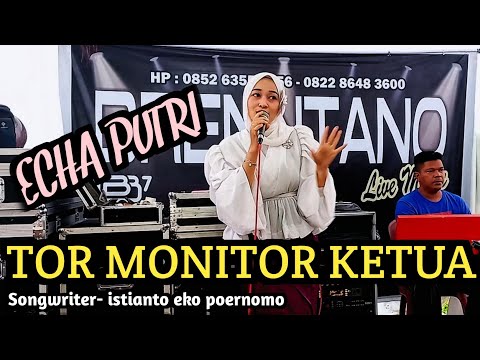 Echa Putri - Tor Monitor Ketua (( Cover )) Orang Baru Lebe Gacor || Ecko Show, Juan Reza, Chesylino