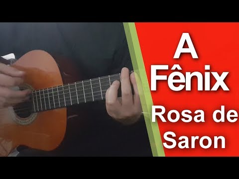 Novato - Pequeño Fénix