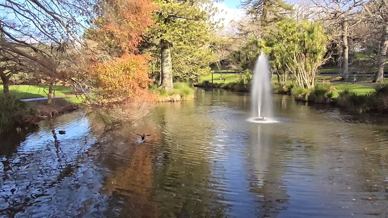 Dive into virtual walking tour through Auckland Domain.