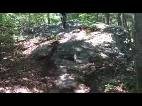 1minmtb - 170721 - Needham Town Forest