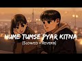 Hume Tumse Pyar Kitna Female Version Shreya Ghoshal Slowed Reverb Rohan Mandal Lofi Song Created