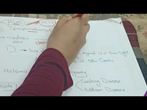 Melanocyte Stimulating Hormone (MSH) (Lec  Hormones 3)