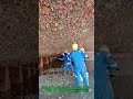 Barnacle Removal Hack: 200% Faster Boat Scraping