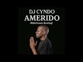 Dj Cndo Amerido KilloTronix Bootleg Remix