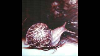 Current 93 feat. Antony - Whilst the Night Rejoices Profound and Still