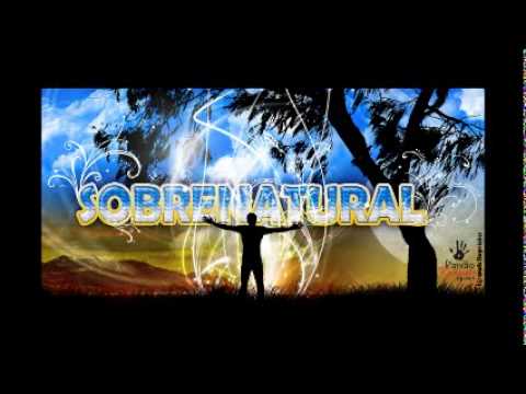 Visão Pr  Ricardo Robortella