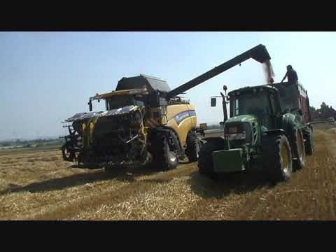 Persyn-Steelandt: Maaidorsen.