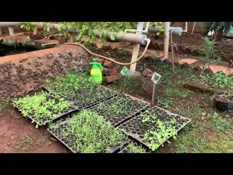 Aquaponic Farm | Neral | NA Land with Bungalow | Farmhouse | India |