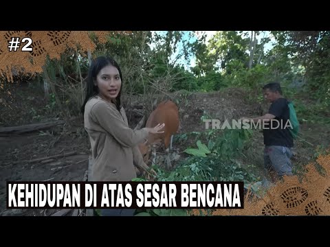 KEHIDUPAN DI ATAS SESAR BENCANA | JEJAK PETUALANG (28/08/25) Part 2