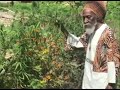 The last Days of Bunny Wailer - Mini  Documentary Official Video | RIP Legend March 2nd