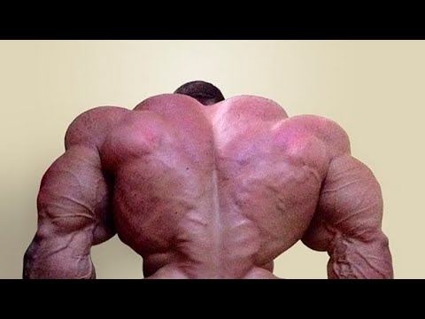 EPIC BACK DAY - Motivational Video