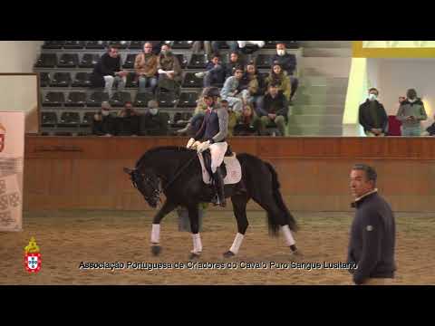 8 Nescafé por Luis Fernandes