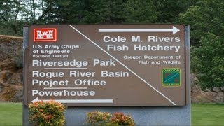 preview picture of video 'Massive Fish Hatchery - Rogue River, Oregon'