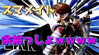 【スマブラSP】スマメイトは修羅の道だった...