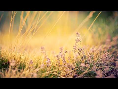 Mohamed Bahi - In Perfect World (Extended Mix)