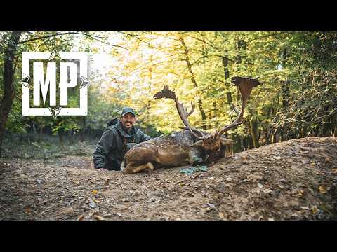 The Roar - Fallow Deer Hunt in Slovakia | Mark V. Peterson Hunting