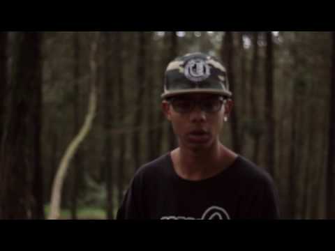 REMITENTE - NICHE LS