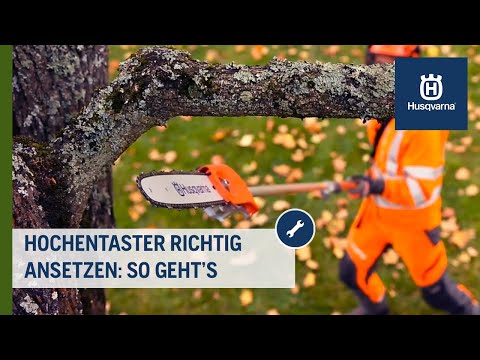 Hochentaster richtig zum Schnitt ansetzen: So geht's | Husqvarna Garten