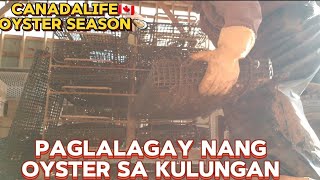 #CanadaLife#FishplantWorker#Oyster#Season  #Bawal#AngTamad#Dito sa#CANADA#✌watch