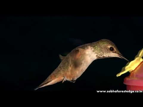 Walkthrough Walkthrough