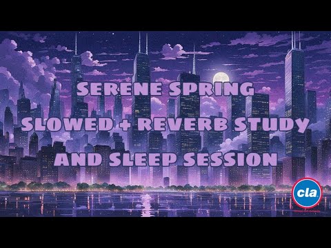 chicago lofi authority- serene city spring slowed + reverb study & sleep session ????