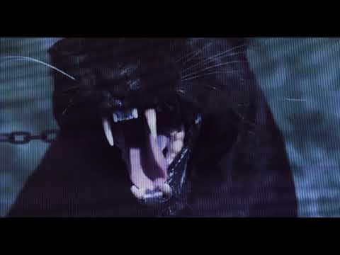 Nuje vulimme' na Speranza (Nto & Lucariello)🐺