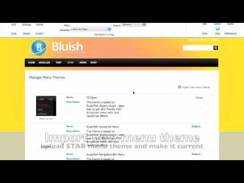 STAR DNN skin installation