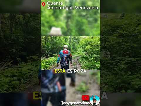 Ruta de pozas y naturaleza en Guanta, Anzoátegui 🍃📍