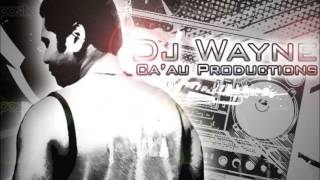DJ Wayne - Cina Dui Roka [Fijian Remix 2013]