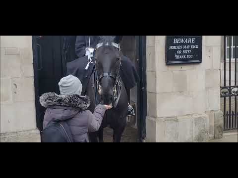Tourist feeds monkey nuts with shells  on ( chocking hazard) part 1