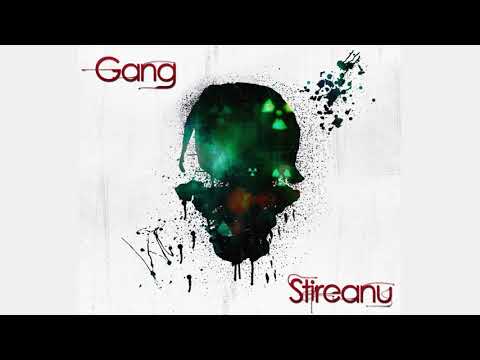 Stireanu - GANG