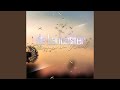 Stimmen im Wind (Extended Mix)
