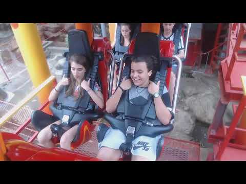 Fire Whip - Beto Carrero