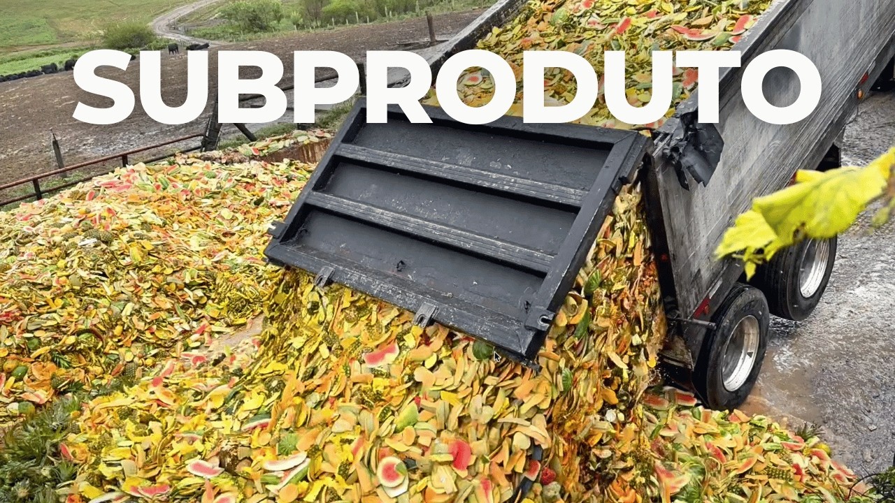 3.500 BOVINOS DE CORTE POR ANO BLACK ANGUS - ROSEDA FARMS, ESTADOS UNIDOS 🇺🇸