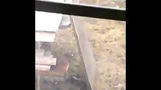 Robin playing with itself