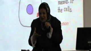 16) Dr.Gihan [Agranular Leukocytes - Platelets]