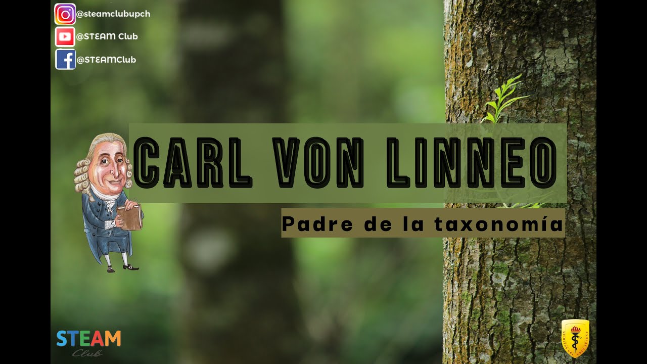 ¿Quién fue el padre de la taxonomía moderna? – ACUT.NET